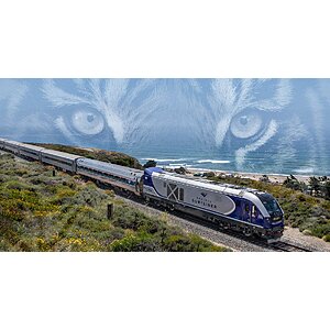 Amtrak 20% Off Savings To San Diego on Pacific Surfliner Plus $7 Off On San Diego Zoo Tickets