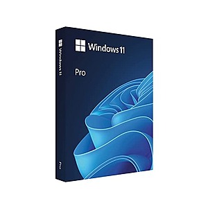 Microsoft Windows 11 (PC Digital Download Code): Home $20 or Pro $25
