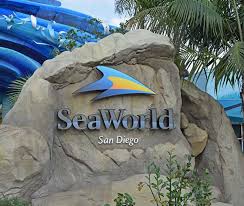 [San Diego CA] SeaWorld SoCal Annual Pass $10 A Month Unlimited Visits