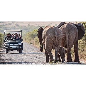 Eastern Cape South Africa: 5-Night for 2 All-Inclusive Amakhala Game Reserve Safari $1499 (Travel May - September 2023)