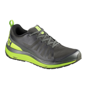 Salomon: Men's Odyssey Pro Hiking Shoe $41.73, Men's Techamphibian 4 Water Shoe $32.73 + Free Store Pickup at REI Outlet