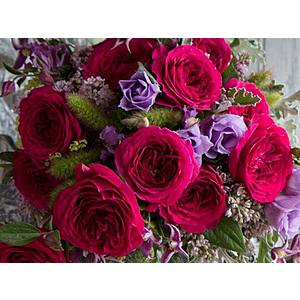 Stacksocial.com: Offer from Rosefarmers.com Get 2 Dozens of Roses $40 Shipped (Digital Voucher)