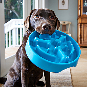 Chewy New Customers: Spend $49+ on Eligible Pet Products, Get $20 Chewy eGift Card + Free Shipping
