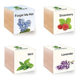 Ecocubes! Pre-Seed Organic Wood Planters $8 + FREE Shipping
