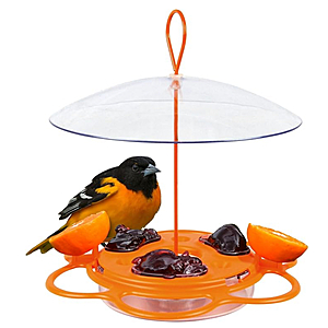 Nature's Way All-in-One Oriole Buffet Bird Feeder w/ Removable Bee Guards & Jelly Dishes, & Built-In Ant Moat $8.74 + Free Shipping w/ Prime or on $35+