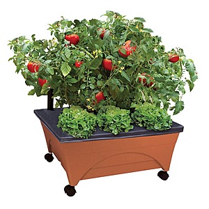 Patio Raised Garden Bed Grow Box Kit with Watering System and Casters in Terra Cotta $24.  Reg $40.  F/S from Home Depot