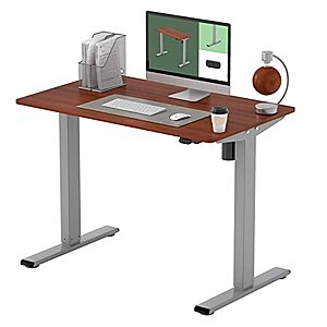 FLEXISPOT EG1 Height Adjustable Electric Standing Desk (40" x 24") $86.20 + Free Shipping