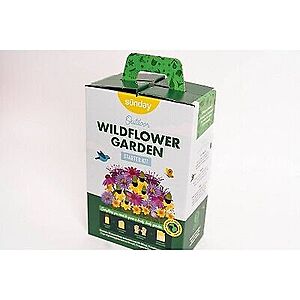 Sunday Outdoor Wildflower Garden Kit $8.79 at Bullseye Deals via eBay