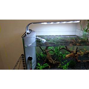 Top Fin "Retreat" 5 Gallon Rimless Glass Aquarium w/ light and built-in filter $26.24 (or 25% off any other Top Fin product, YMMV somewhat)